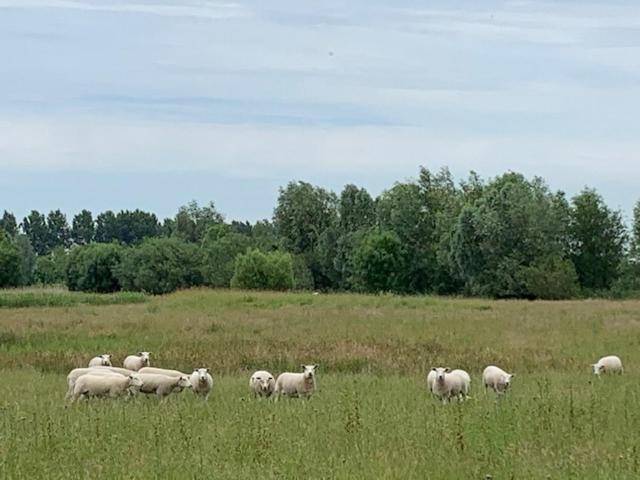 B&B Petit Chateau - Stijlvol Verblijf Centraal Gelegen In Zeeuws Vlaanderen Biervliet Εξωτερικό φωτογραφία